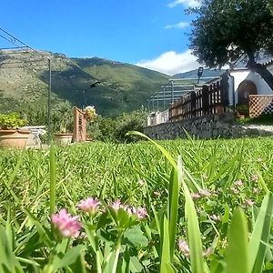 B&B Da Maria Teresa - Maratea